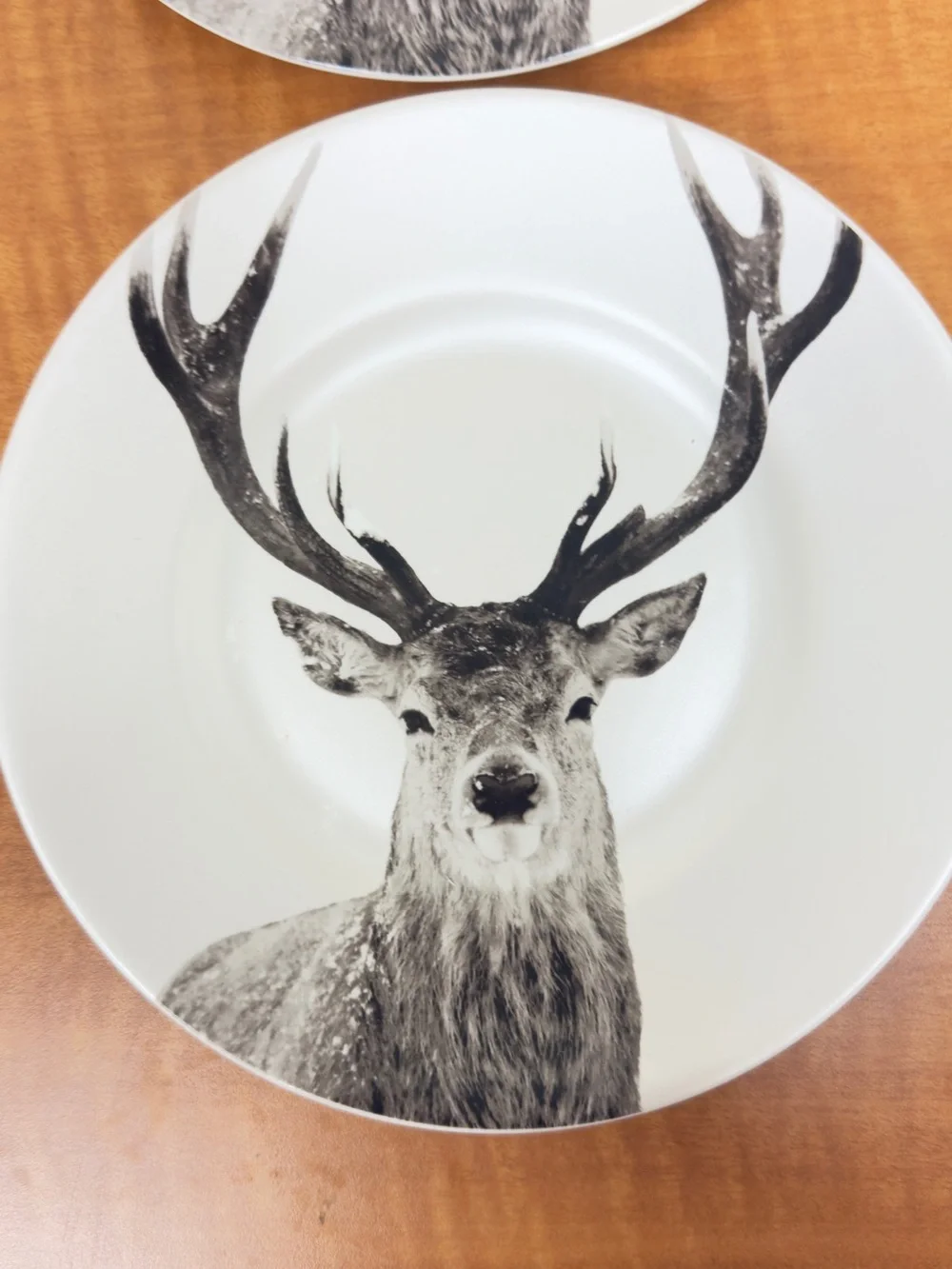 Pier 1 Deer Stag Porcelain Dessert Plates Set of 4 Rustic Woodland Cabin Lodge